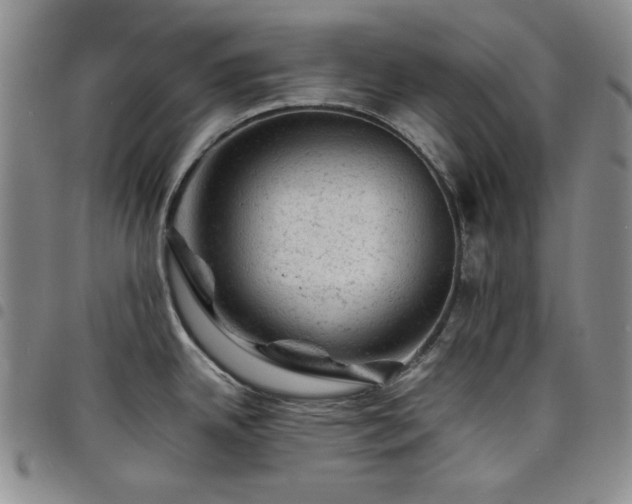 X0000098161342200804241755