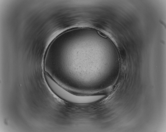 X0000098161343200804241755