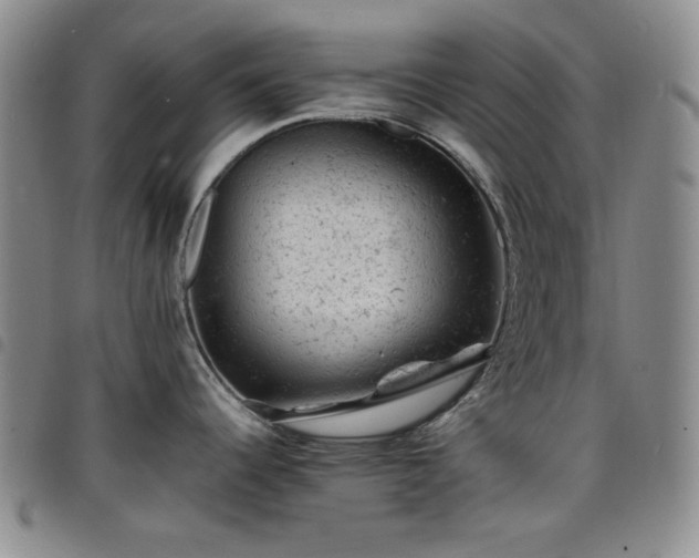 X0000098161344200804241755