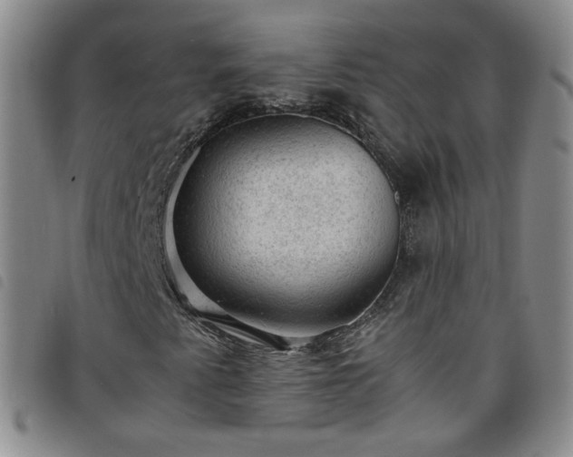 X0000098161345200804241754