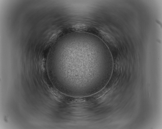 X0000098161346200804241754