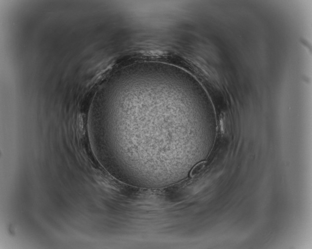 X0000098161347200804241754