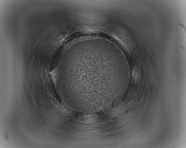 X0000098161348200804241754
