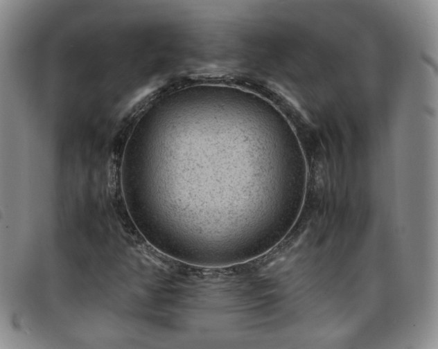 X0000098161350200804241754