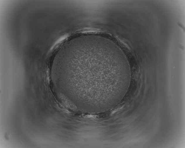 X0000098161351200804241754