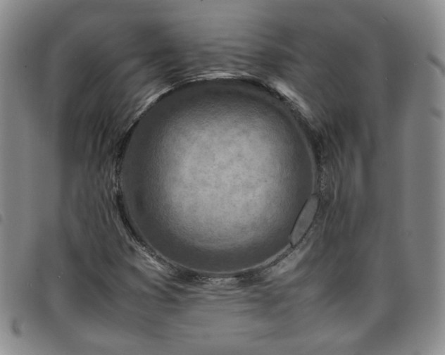 X0000098161353200804241754