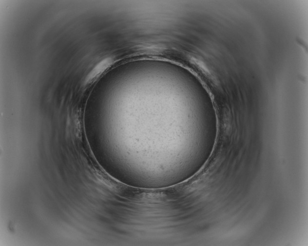 X0000098161354200804241754
