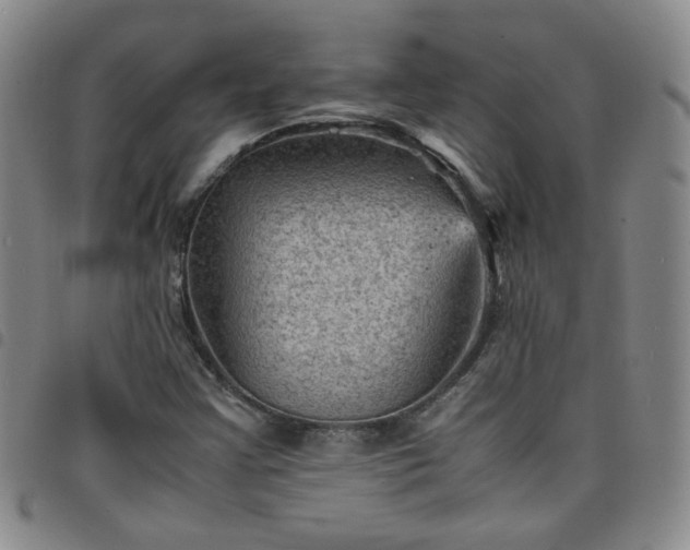 X0000098161355200804241754