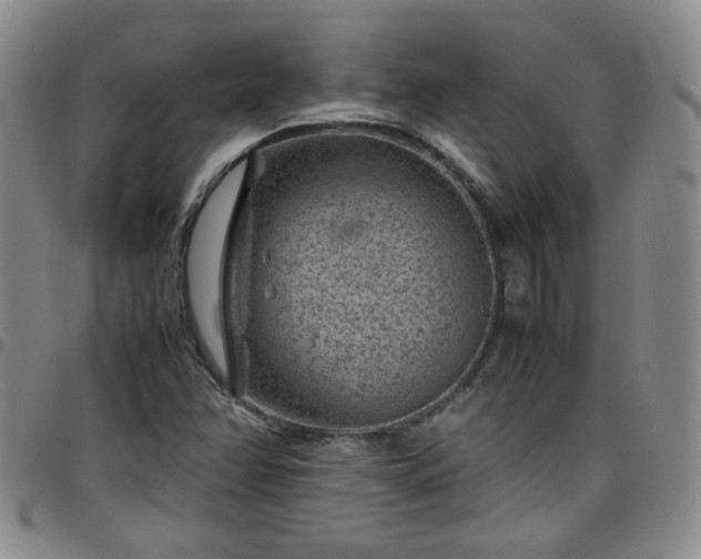 X0000098161358200804241754