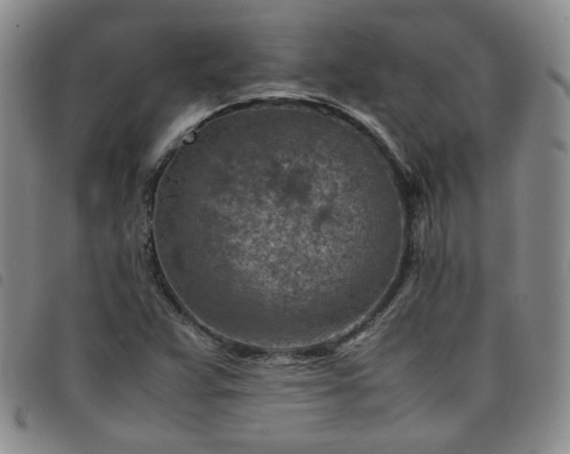 X0000098161359200804241754