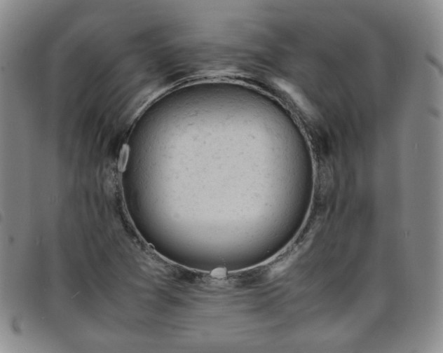 X0000098161361200804241754