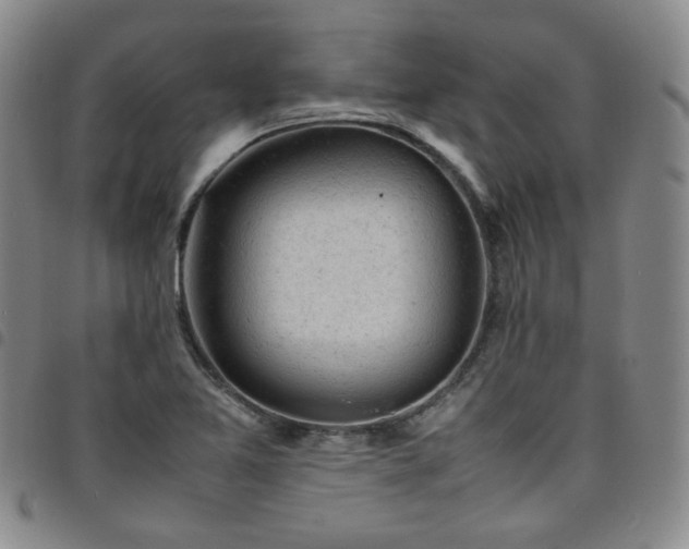 X0000098161365200804241754