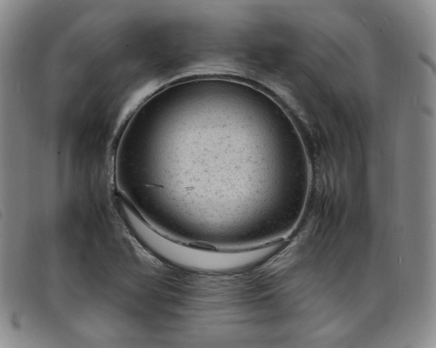 X0000098161366200804241754