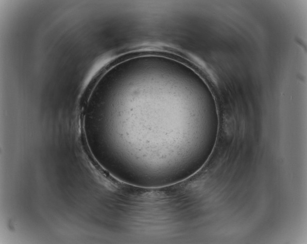 X0000098161368200804241754