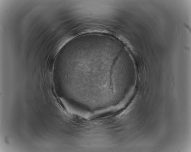 X0000098161369200804241754