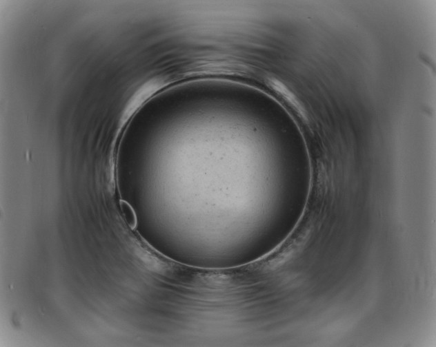 X0000098161370200804241754