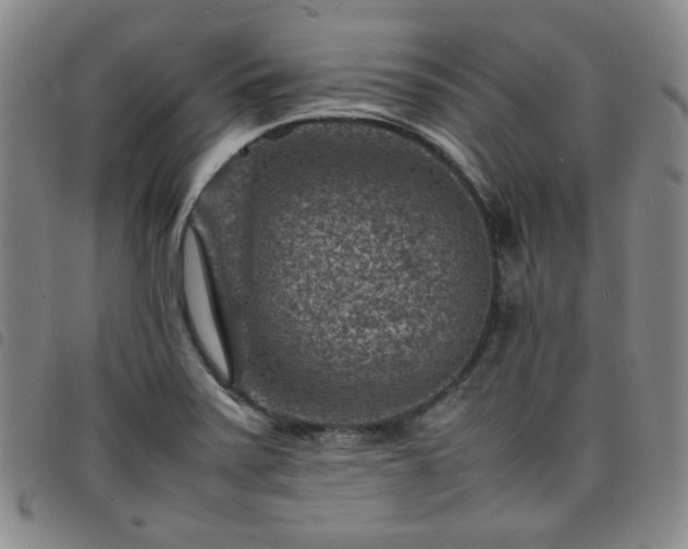 X0000098161371200804241754
