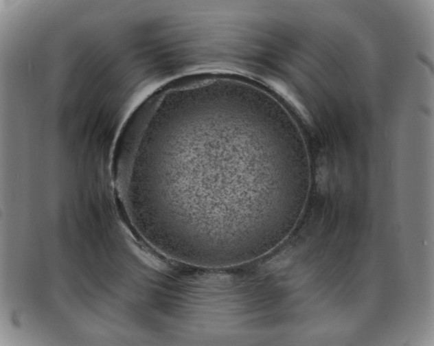 X0000098161372200804241754