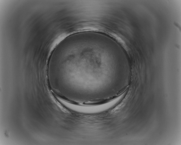 X0000098161373200804241754