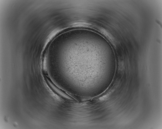 X0000098161376200804241753