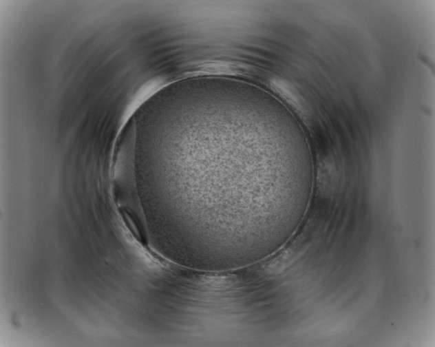 X0000098161378200804241753