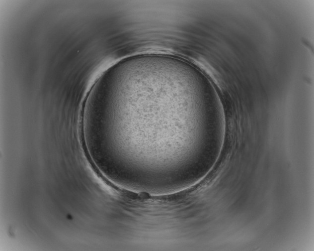 X0000098161379200804241753