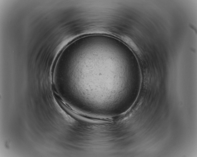 X0000098161380200804241753