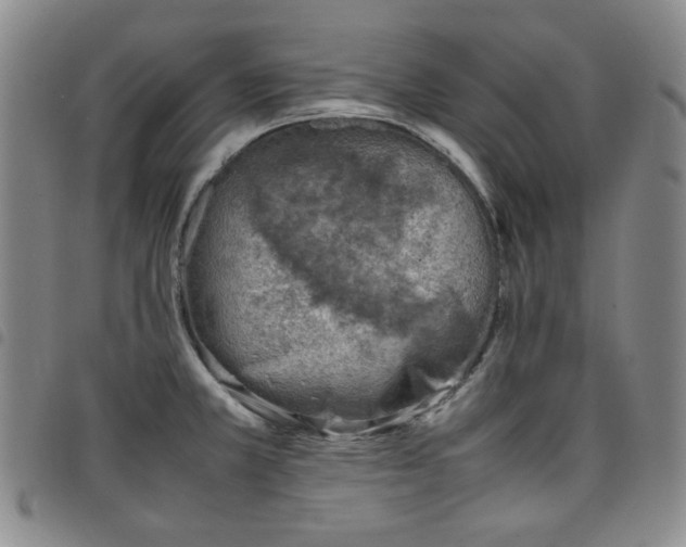 X0000098161381200804241753