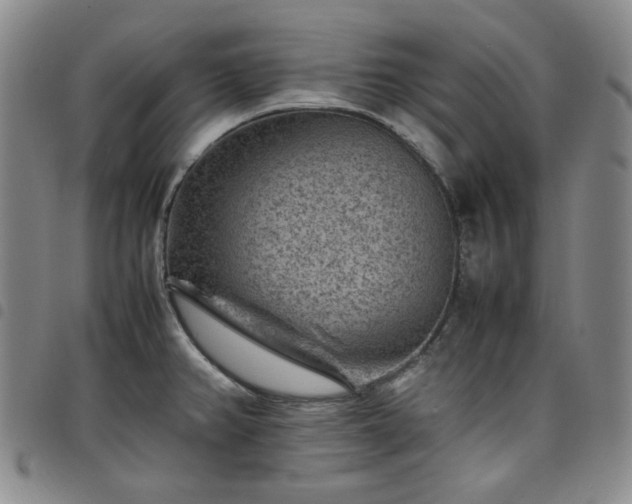 X0000098161382200804241753