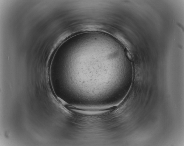 X0000098161384200804241753