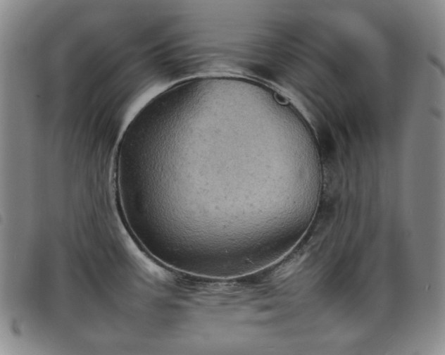 X0000098161387200804241753