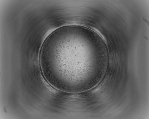 X0000098161388200804241753