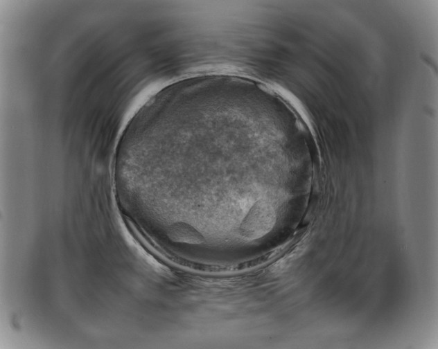 X0000098161389200804241753