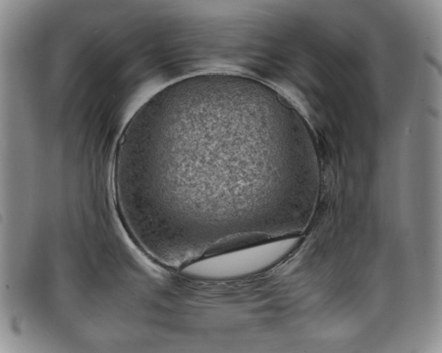 X0000098161391200804241753