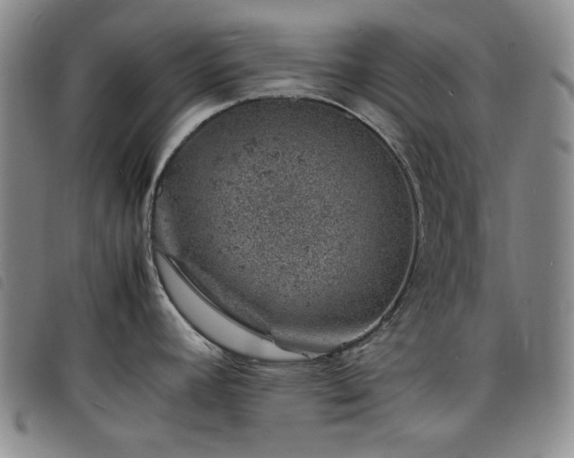 X0000098161392200804241753