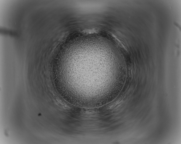 X0000098161393200804241752