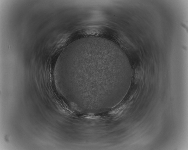 X0000098161394200804241752
