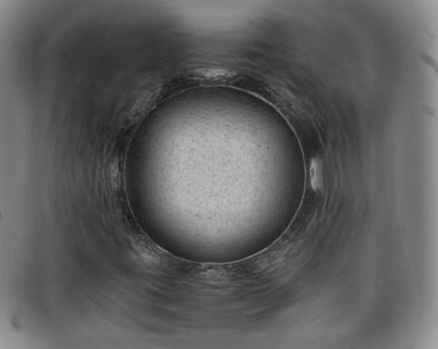 X0000098161395200804241752