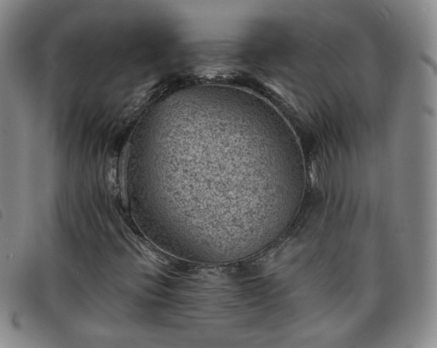 X0000098161396200804241752