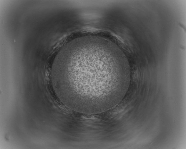 X0000098161397200804241752