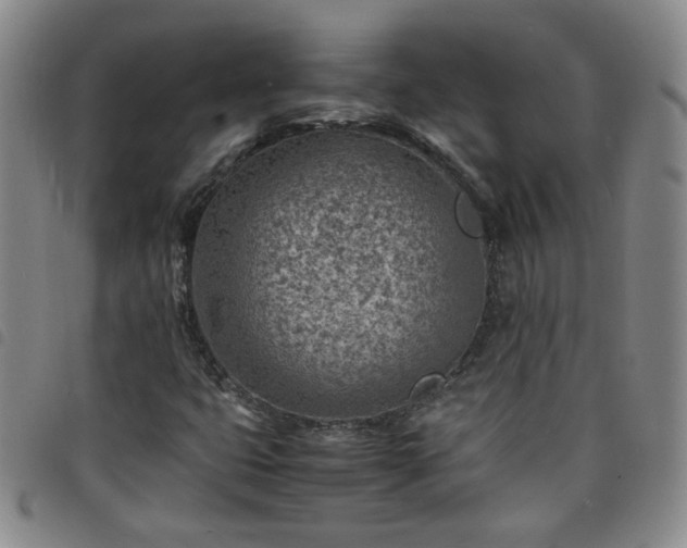 X0000098161399200804241752