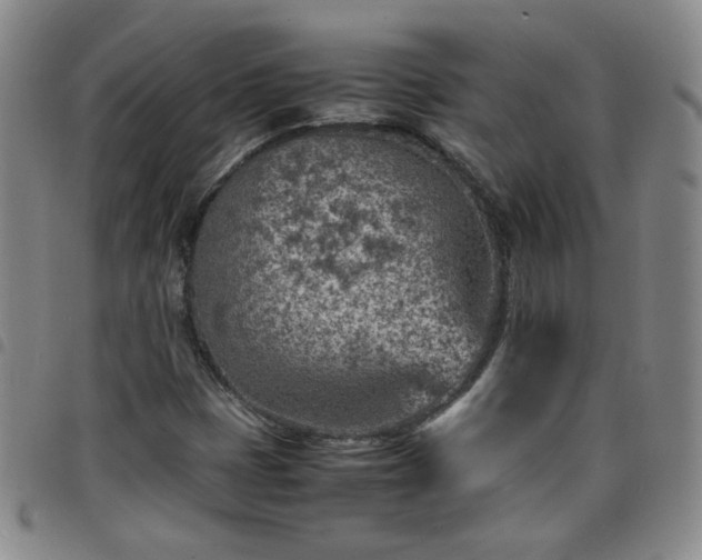 X0000098161401200804241753