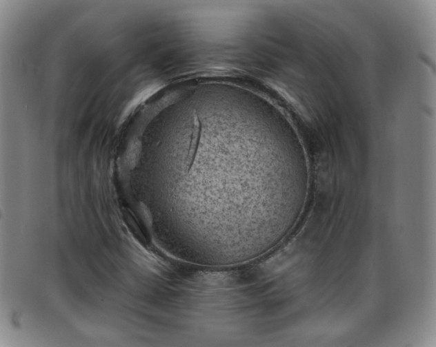 X0000098161402200804241753