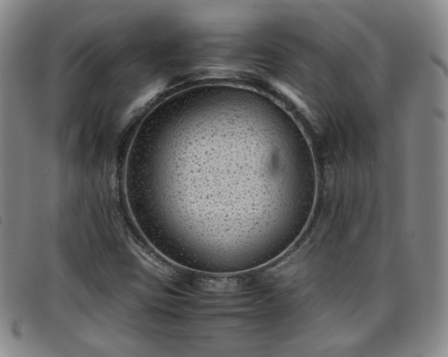 X0000098161403200804241753