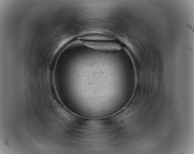 X0000098161404200804241753