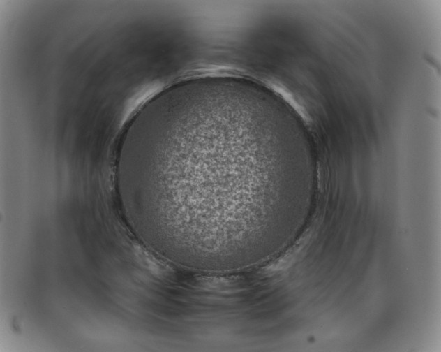 X0000098161405200804241753