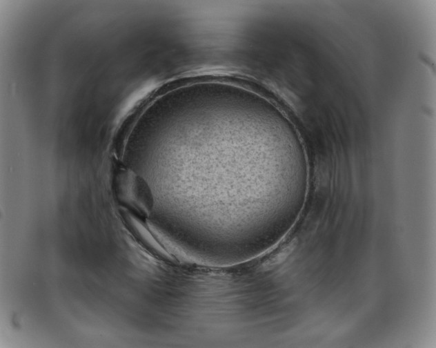 X0000098161406200804241753