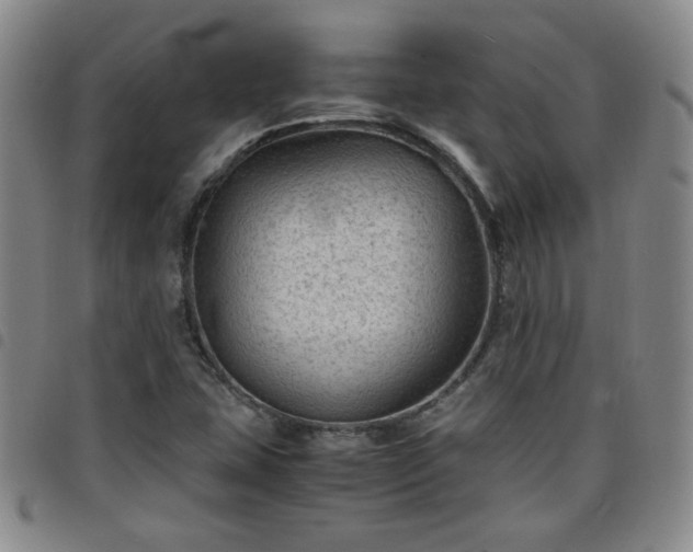 X0000098161407200804241753