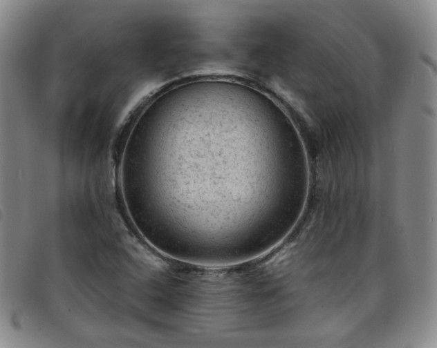 X0000098161408200804241753
