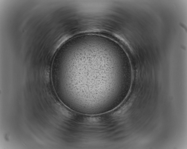 X0000098161409200804241753